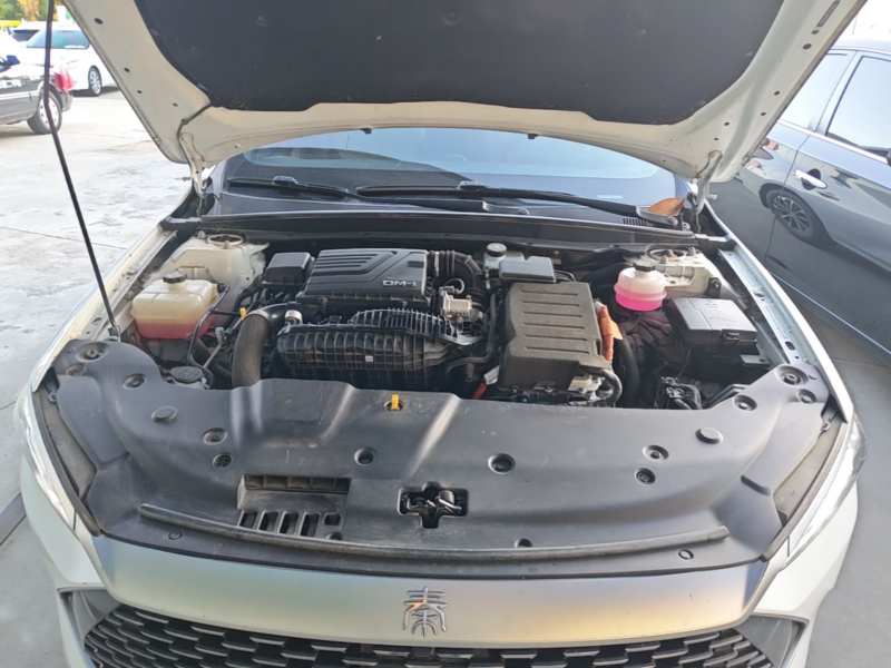 Used BYD Qin PLUS 2024 HONOR Edition DM-i 55KM Leading Model — 19