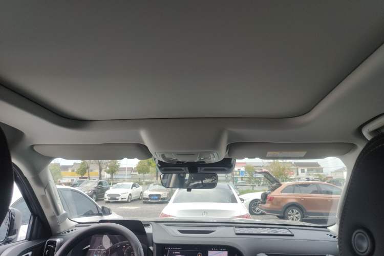 Used Haval DARGO 2024 2.0T DCT Chinese Rural Dog Edition Headliner