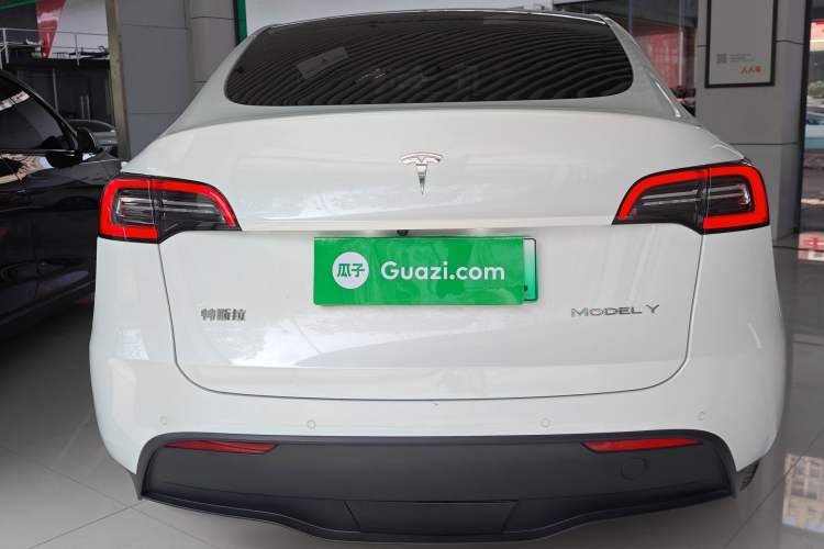 Used Tesla Model Y 2021 Standard Range Rear-Wheel Drive Version
