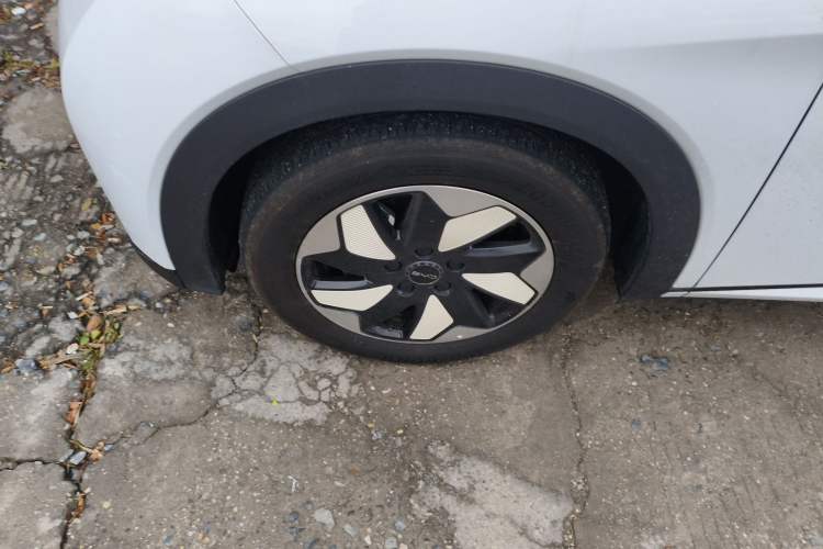 Used BYD Dolphin 2024 Honor Edition 420km Fashion Version