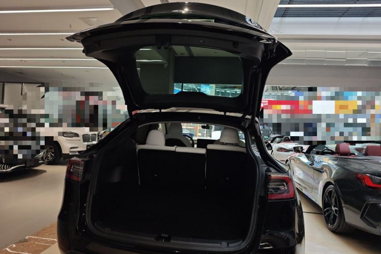 Used Tesla Model Y 2021 Standard Range Rear-Wheel Drive Version