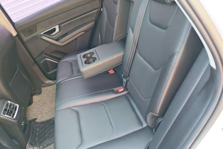 Used BYD Song Pro 2019 1.5T Automatic Prestige Model Left Rear Seat