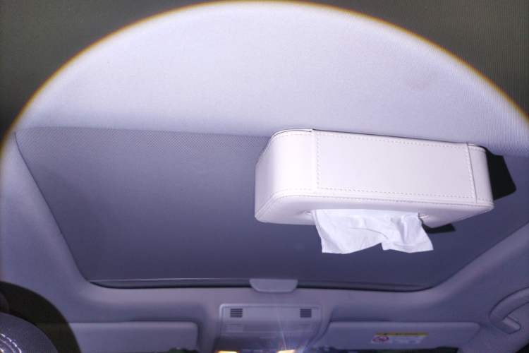 Used Volkswagen Golf 2017 1.6L Automatic Comfort Million-Vehicle Anniversary Edition Headliner