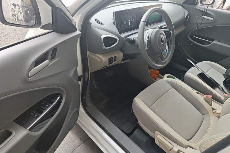 Used ORA White Cat 2020 305 km Luxury Version Driver Seat