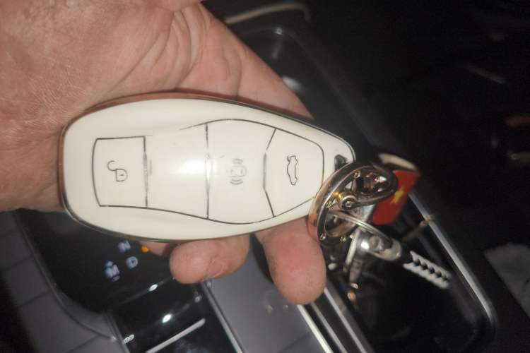 Used Hongqi HS7 2023 2.0T Automatic Two-Wheel Drive Flagship Edition Six Seats
