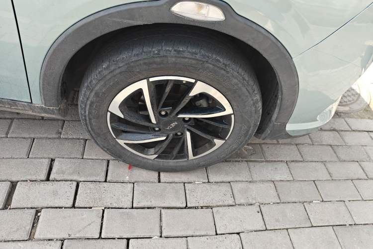 Used NETA V 2021 Long-Range Entertainment Edition Upgrade Model