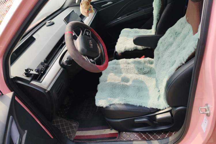 Used NETA V 2021 Witch Edition Left Front Seat