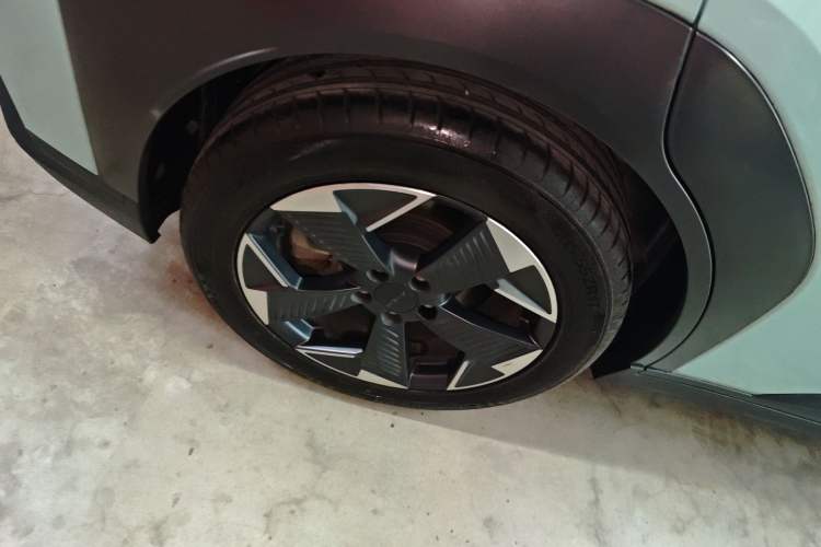 Used AION Y 2022 70 Enjoyment Edition Lithium Iron Phosphate Exterior 5