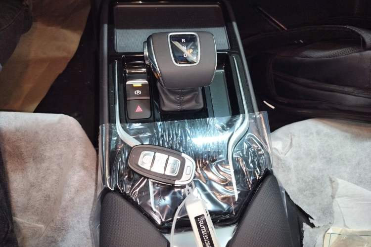 Used Hongqi E-QM5 2023 Revised Version Basic Travel Edition Gear Lever