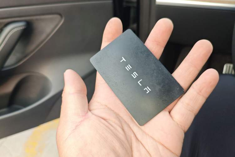 Used Tesla Model 3 2020 Revised Version Standard Range Rear-Wheel Drive – Upgraded Edition Interior 1