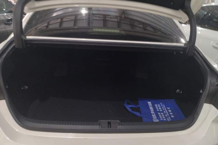 Used Lexus ES 2020 260 Excellence Edition Trunk