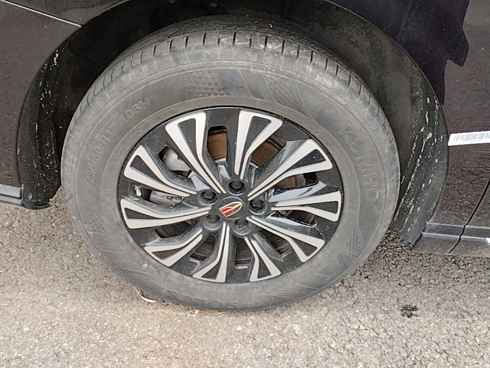 Hongqi HQ9 PHEV 2024 2.0T Four-Wheel Drive Business Edition — снимка 11