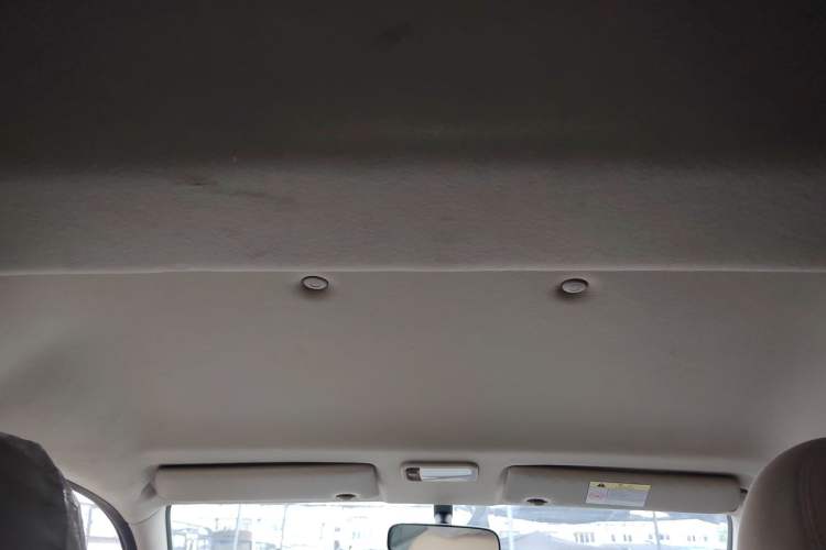 Used FORTHING Lingzhi 2021 M5L 2.0L Utility Model