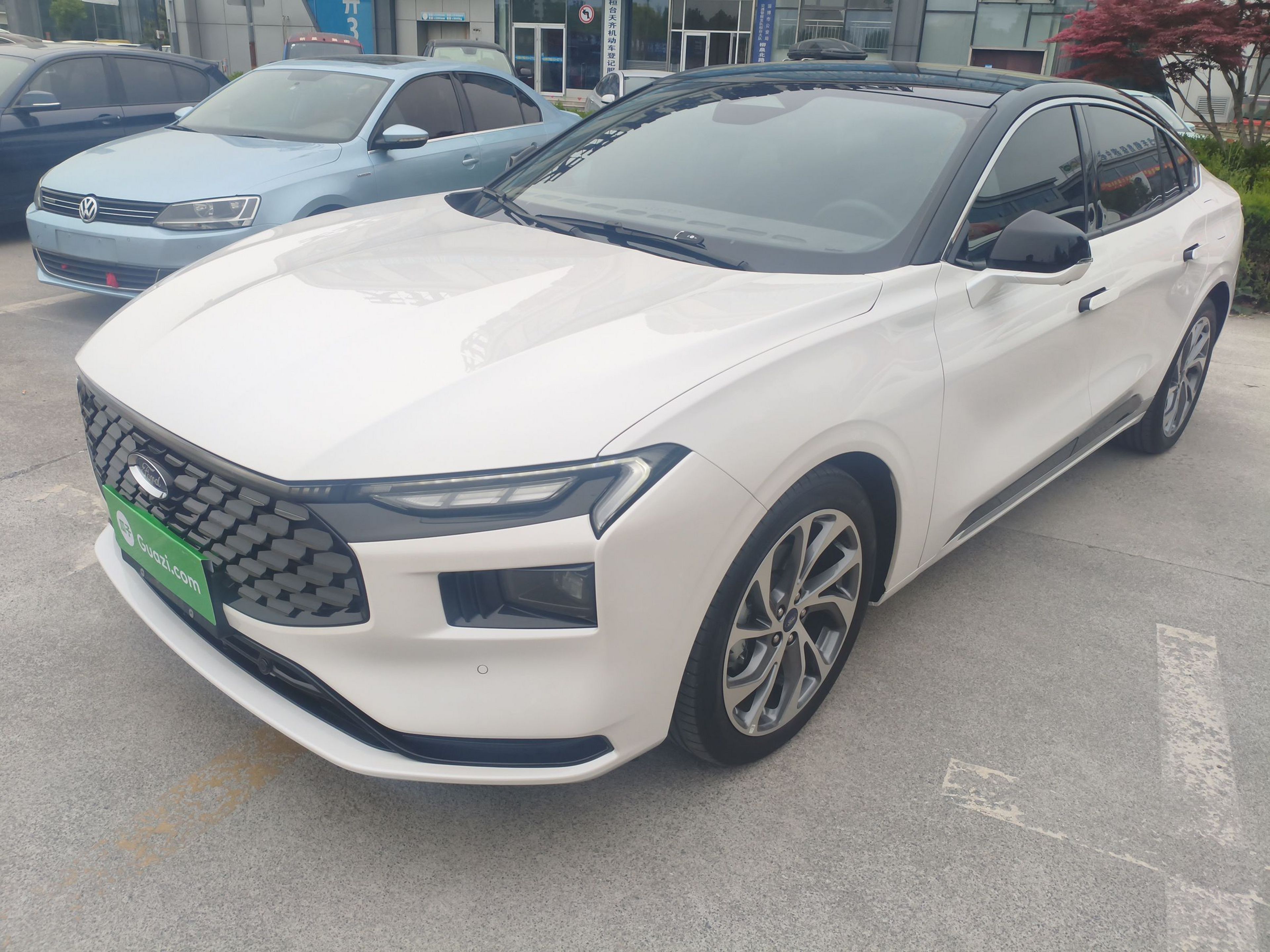 Parte inferior delantera