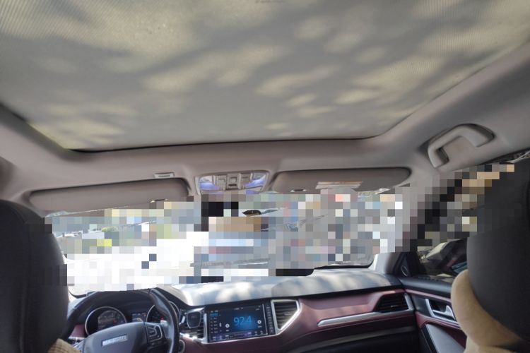 Used Haval H6 Coupe 2018 Red-Label 1.5T Automatic Two-Wheel Drive Ultra-Luxury Model Headliner