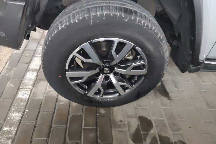 Used Tank 300 2024 2.0T Crosser