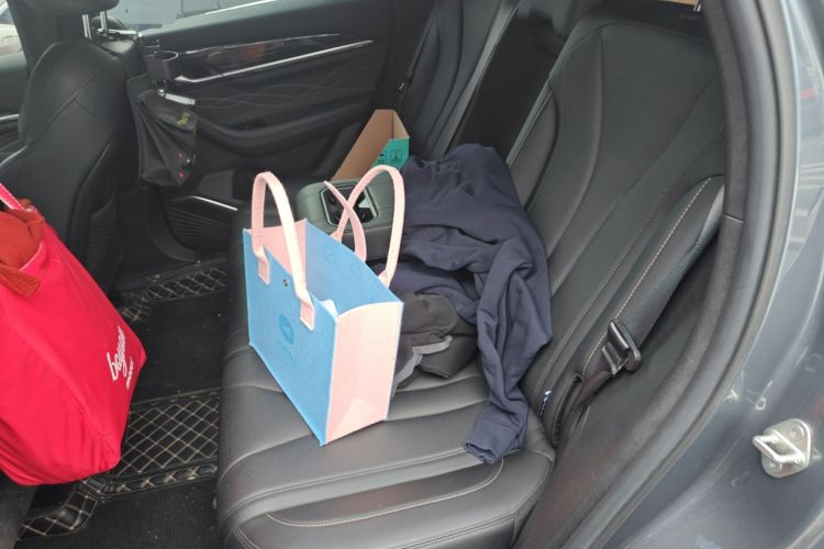 Used Geely Auto Monjaro L 2024 2.0TD DCT EVO Two-Wheel Drive Long-Range Version