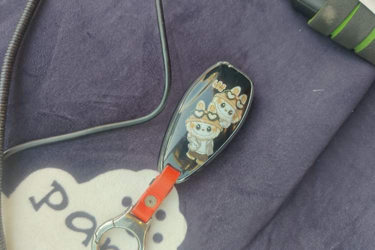 Used Hongqi HS3 2023 1.5T Two-Wheel Drive Shanwei Edition