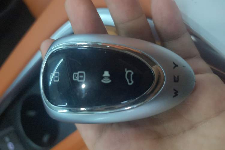 Used Wey Lanshan 2025 Four-Wheel Drive Ultra
