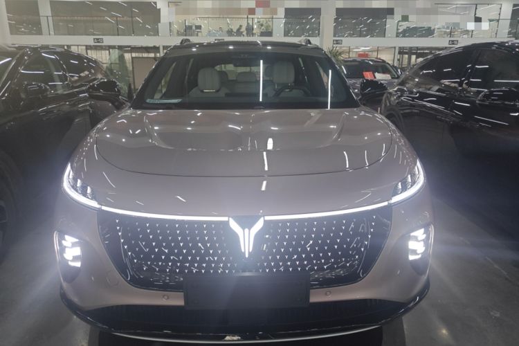 Used VOYAH COURAGE 2024 Four-Wheel Drive Global Edition