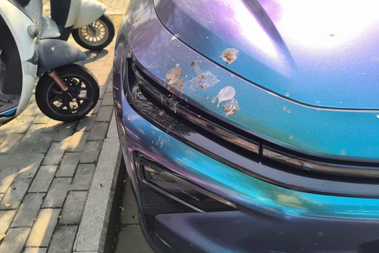 Used Livan 7 2023 605km Hunter Light
