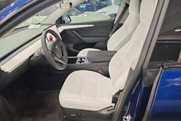 Used Tesla Model Y 2021 Long-Range All-Wheel-Drive Version