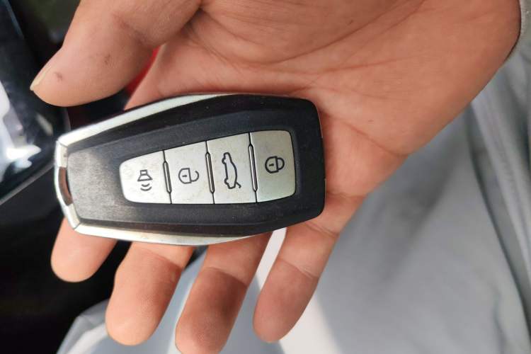 Used Geometry E Firefly 2024 301km Flowing Light