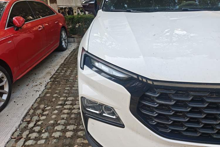 Used Ford Equator Sport 2023 Edge EcoBoost 170 Light & Shadow