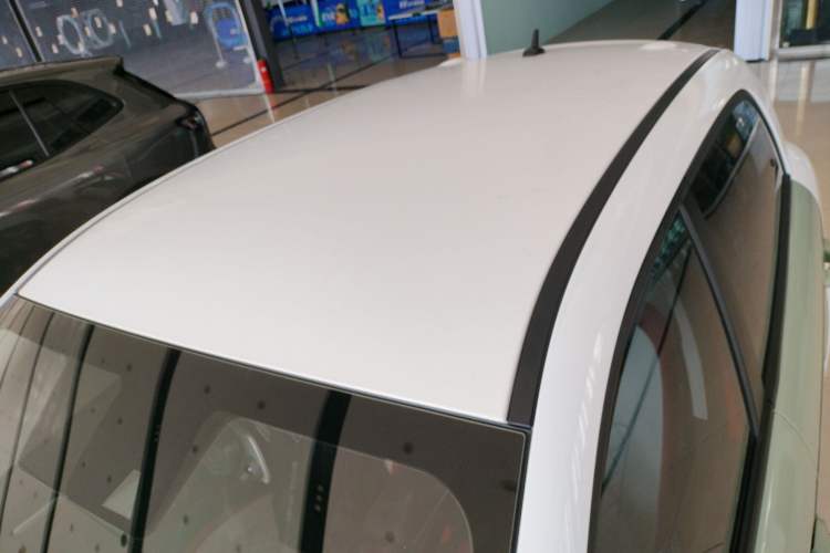 Used ORA Black Cat 2021 351 km Luxury Version Roof