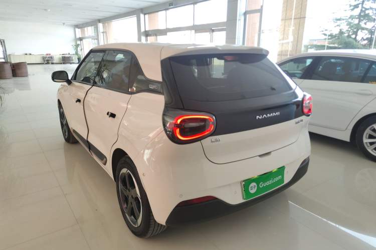 Used Dongfeng NAMMI 01 2024 430 Max
