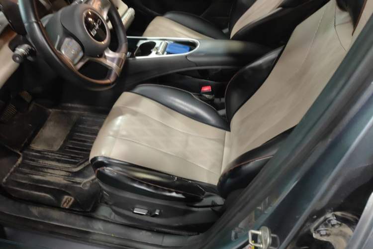 Used BYD Dolphin 2023 420 km Fashion Edition Left Front Seat