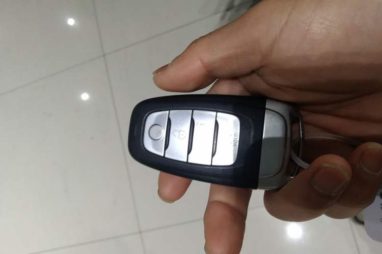 Used Hongqi H9 2020 2.0T Smart Connect Flagship Edition