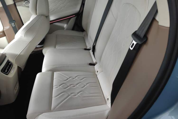 Used VOYAH FREE 2021 Four-Wheel Drive Standard All-Electric Exclusive Luxury Package
