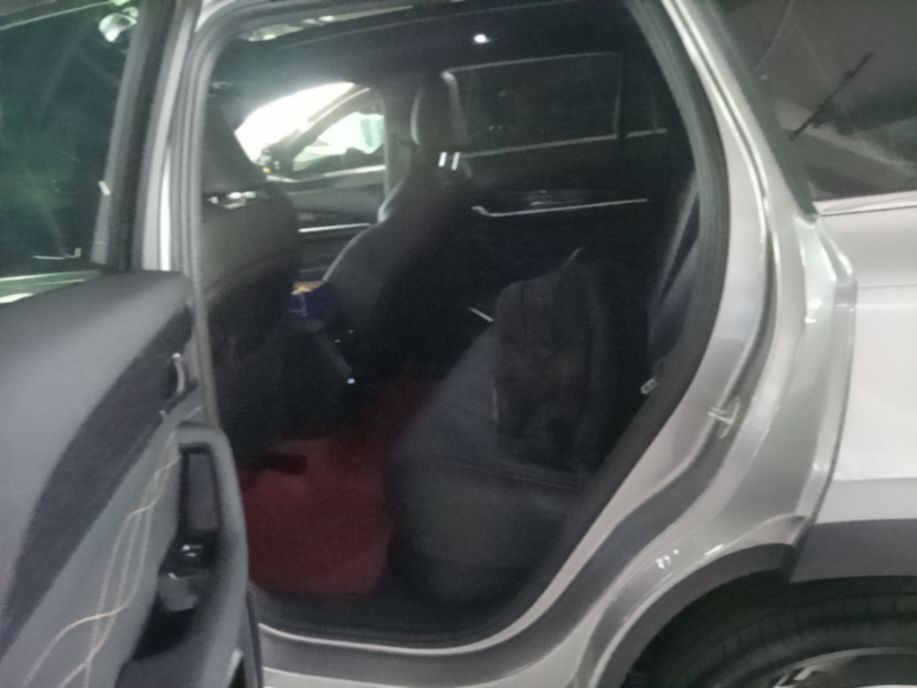 Geely Auto Monjaro L 2024 2.0TD DCT EVO Two-Wheel Drive Long-Range Version — снимка 20
