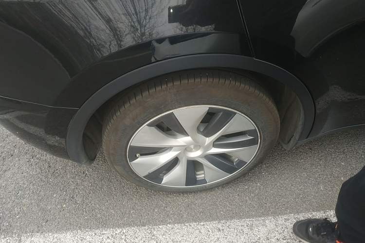 Used Tesla Model Y 2021 Standard Range Rear-Wheel Drive Version
