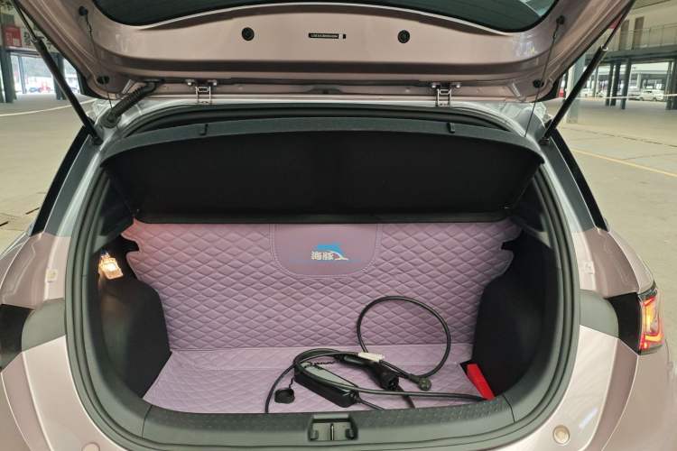 Used BYD Dolphin 2021 401km Knight Edition