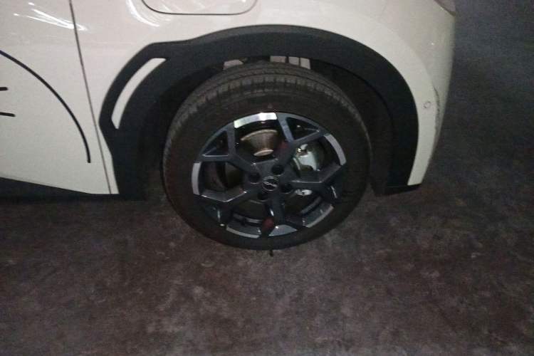 Used BYD Seagull 2025 Smart Drive Version 305 km Freedom Edition