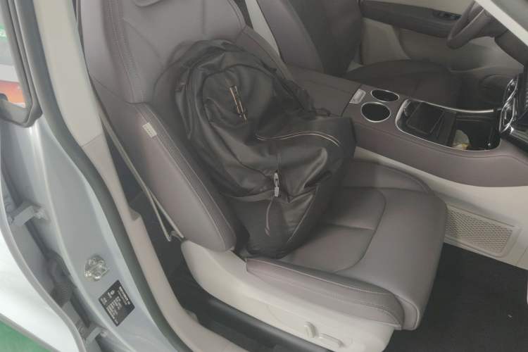 Used Leapmotor C11 2023 Pure Electric 500 Comfort Edition Right Front Seat