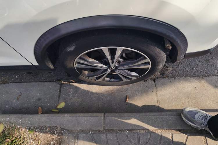 Used Nissan Qashqai 2019 2.0L CVT Luxury Edition
