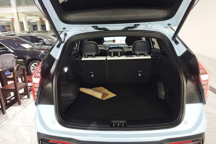 Used Geely Auto FX11 2023 1.5TD Leishen Hi·F Super Rui