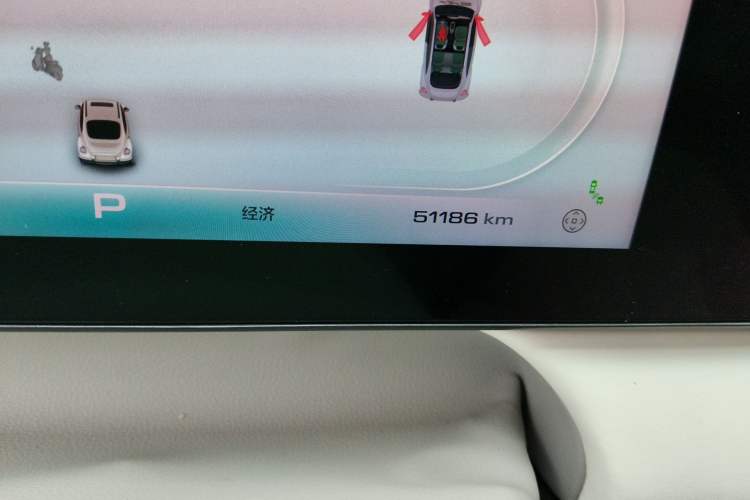 Used ORA Ballet Cat 2022 500 km Swan Lake Edition