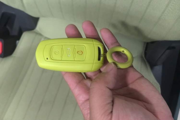 Used Geely Galaxy Panda 2023 Panda Mini 200km Endurance Bear Vehicle Key