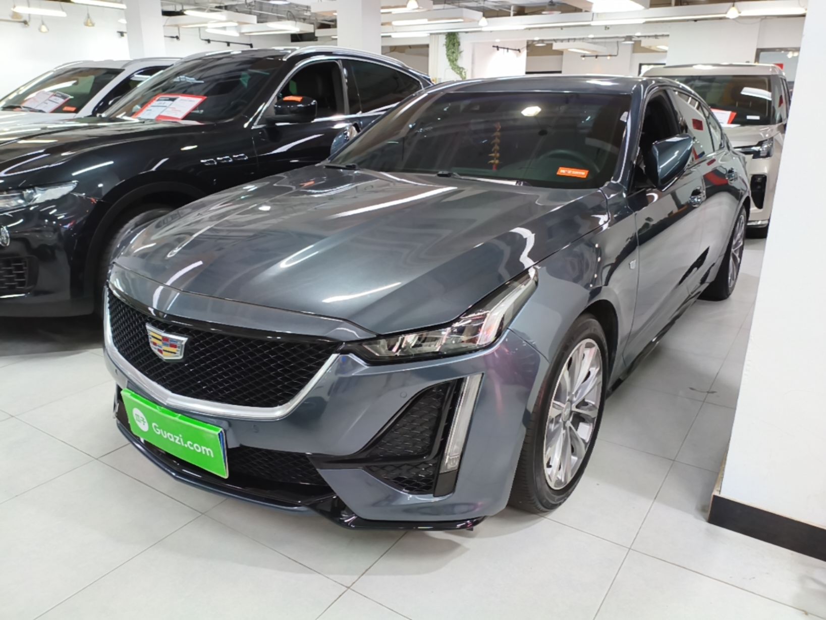 Under Front Bumper