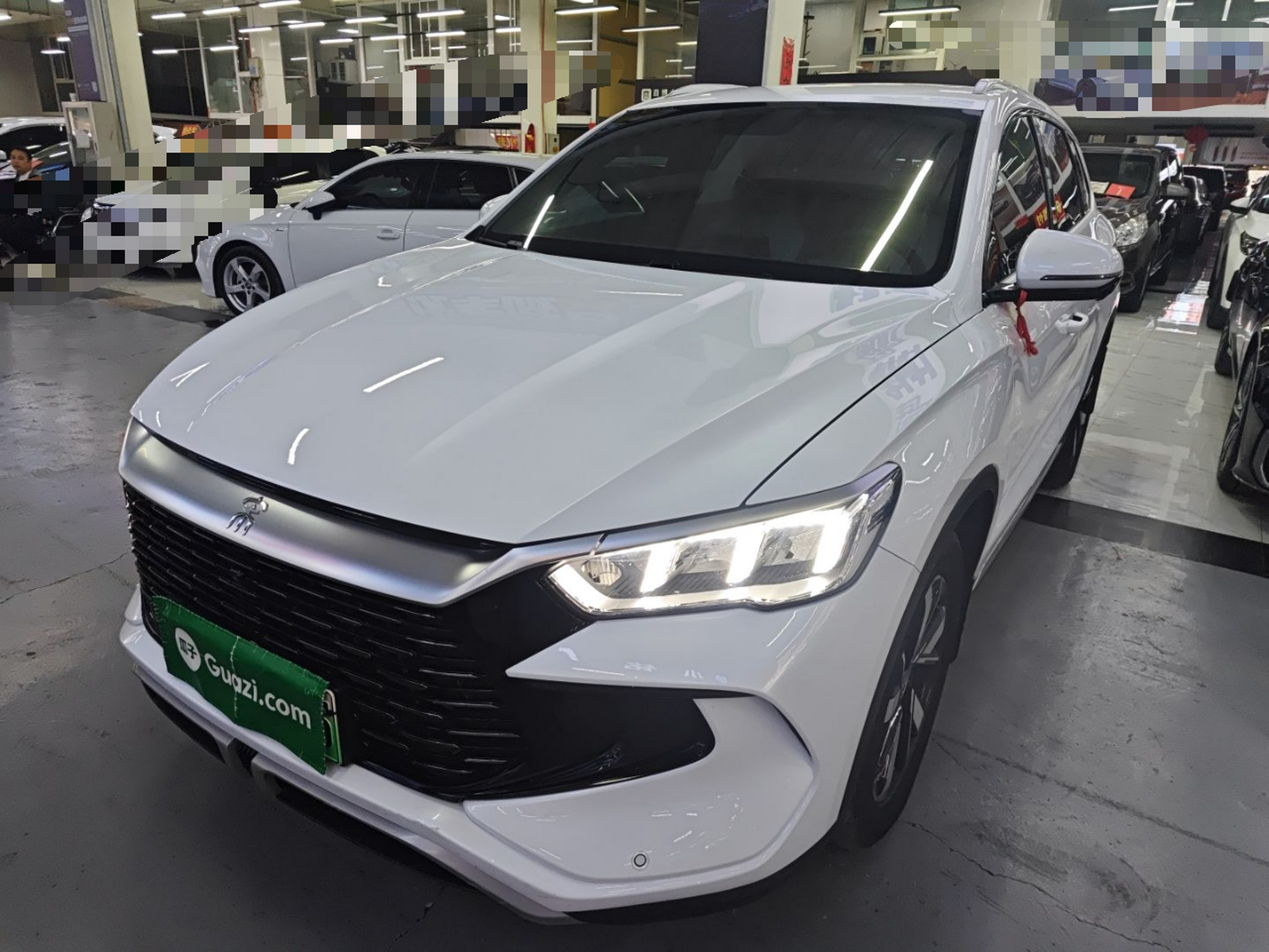 Parte inferior delantera