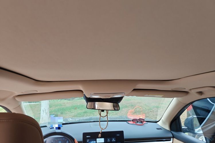 Used Landian E5 PLUS 2025 165 km Long-Range Version PLUS 7-Seater Headliner