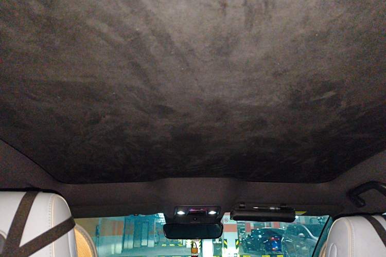 Used BYD Seal 2022 550 km Standard Range Rear-Wheel Drive Prestige Version Headliner