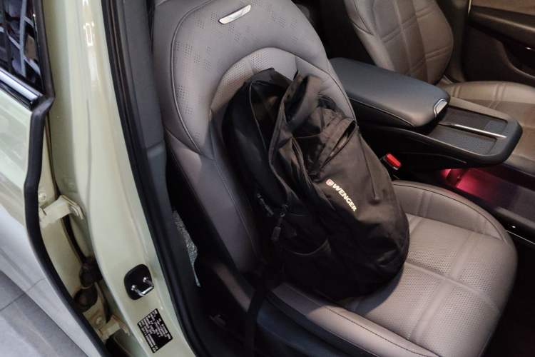 Used Hongqi EH7 2024 690 Pro Right Front Seat