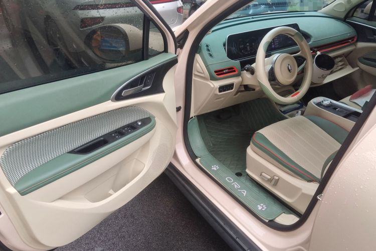 Used ORA Good Cat 2022 Morandi Edition 400km Standard Range Premium Version Lithium Iron Phosphate Driver Seat