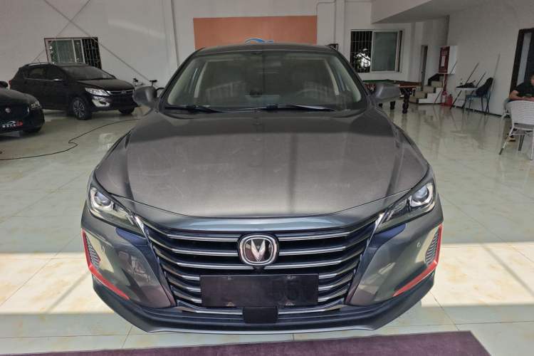 Used CHANGAN Ruicheng CC 2021 Blue Whale Edition 1.5T DCT Luxury Model

