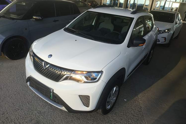 Used Venucia e30 2020 Elite Edition